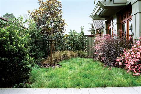 When designing your front yard landscaping, it is best to consider the amount of work and effort you are willing to invest into it to maintain the surroundings. Plant a No-Mow Lawn - Sunset Magazine