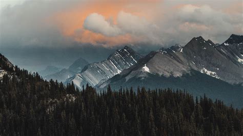 Download Wallpaper 1920x1080 Mountains Forest Clouds