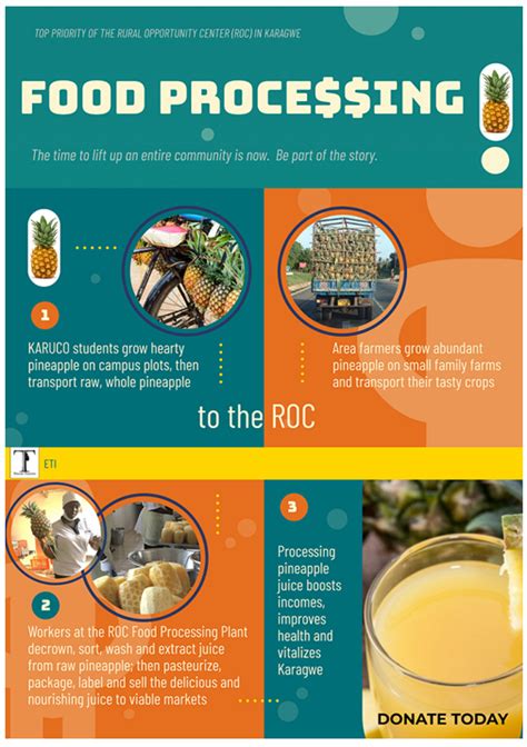 Infographic Food Production