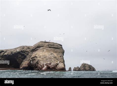 Peru Ballestas Islands Stock Photo Alamy