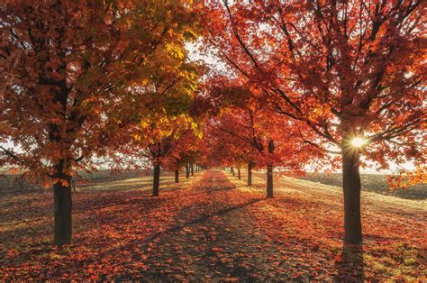 4k Fall Wallpapers Top Free 4k Fall Backgrounds Wallpaperaccess