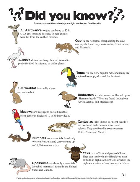 Facts About Animals For Kids