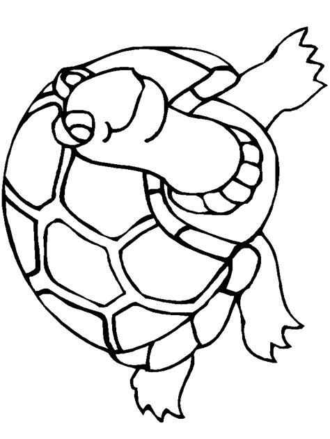 Free Printable Animal Turtle Coloring Pages Cartoon C