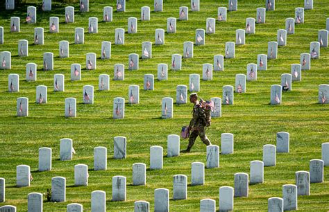 Photos Arlington National Cemetery Flags In For Memorial Day