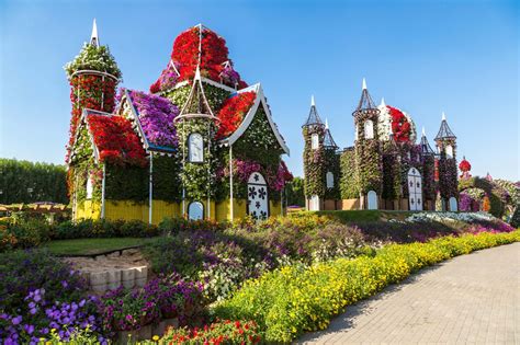 Dubai Miracle Garden The Power Of The Flower