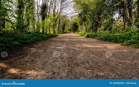 Taking A Walk Along A Path In A Country Park Uk Stock Photo Image Of