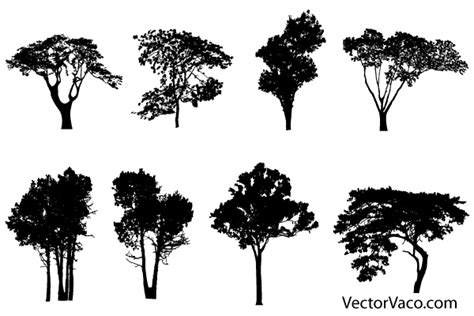 Free Tree Silhouette Vectors Silhouette Sketch Tree Silhouette