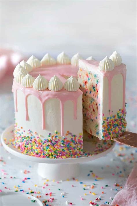 40 Best Birthday Cakes To Bake For Your Person Birthday Cake Recipe