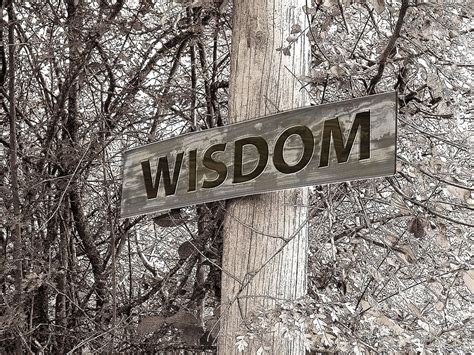 Wisdom Signage Wooden Post Directory Away Wisdom Education