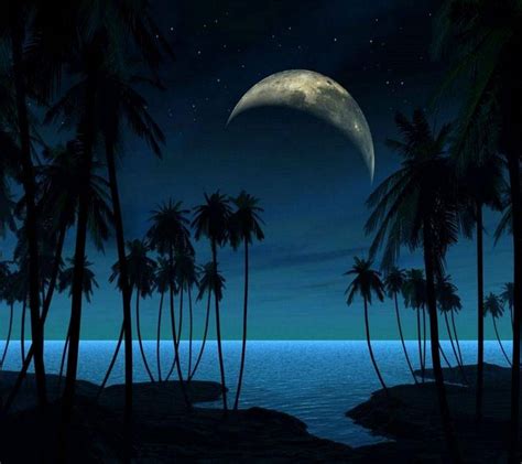Tropical Night Sky Iphone Wallpapers