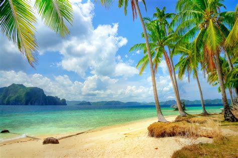 island beach blue sea tropical pier summer sun 2k paradise palm emerald ocean sand