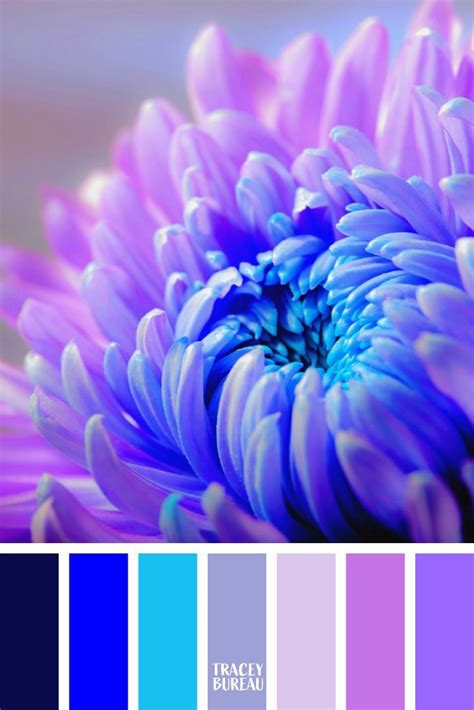 Dive Into Spring With 4 New Color Schemes Suziq Creations Artofit