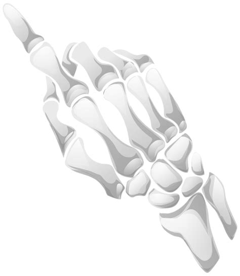 Human Skeleton Hand Bone Clip Art Skeleton Png Download Free Transparent Skeleton