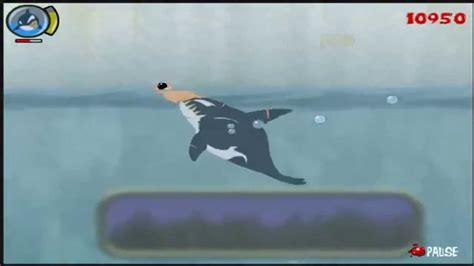 Nuevo Game Play Killer Whale Las Morsas Gritonas Youtube