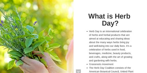 What Is Herb Day From Starter To Finish