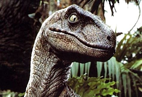 Great Moments In Pedantry How Jurassic Park Got Velociraptors Wrong