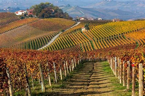 Italy Wine Regions And Wines A Beginners Guide For Foodies — Italy Foodies