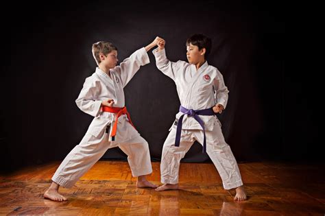 Karate Classes Whidbey Island Click Here To View