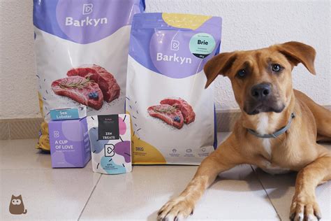 Pienso Para Perros Barkyn Opiniones Composición Y Precio