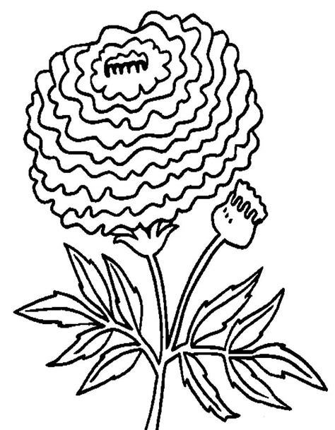54 sagome di fiori da colorare e ritagliare per bambini in disegni. Disegni di fiori da colorare (Foto 28/40) | NanoPress Donna