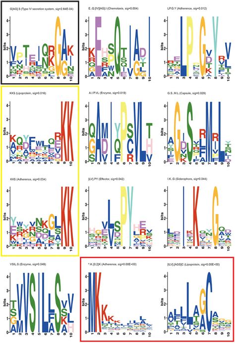 meme suite motif logos of the novel and known motifs returned in the download scientific