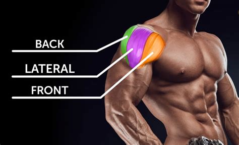 What's the best way to get bigger shoulders at home? How to Get Bigger shoulders quickly? ToGetBigger