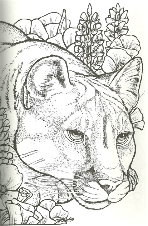 Jungle Cougar Coloring Pages Tripafethna