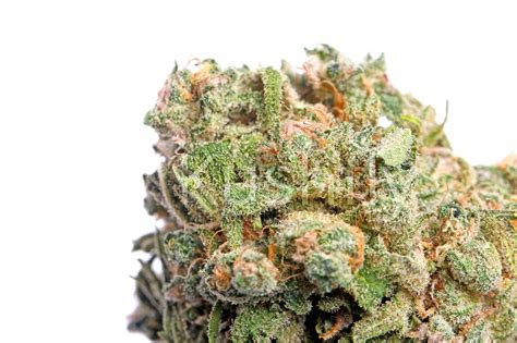 Blue Dream Strain Cannabis Delivery And Information