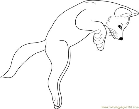 Fox Jumping Coloring Page For Kids Free Fox Printable