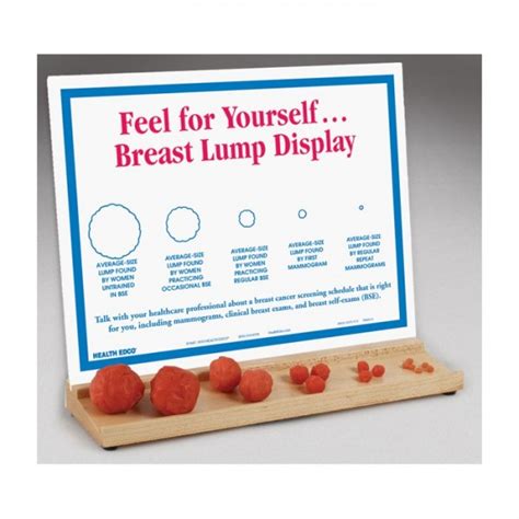 Feel For Yourself Breast Lump Display Superior Medical