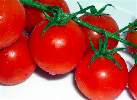 The 10 Best Cherry Tomato Varieties For Container Gardens Garden And