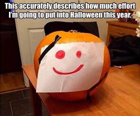 Pin By Cari Goldman On Halloween Best Funny Pictures Halloween Memes