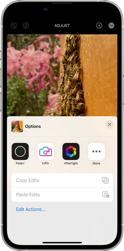 Edit With Third Party Apps And Extensions In Photos Apple Support