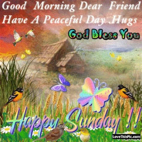Good Morning Dear Friend Happy Sunday Pictures Photos