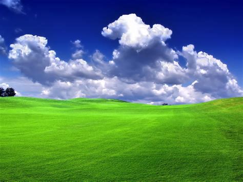 Green Nature Best Quality Wallpapers Top Quality Wallpapers