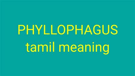 Phyllophagous Tamil Meaningsasikumar Youtube