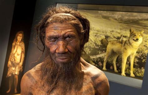 Modern humans interbred with Denisovans twice in history ...