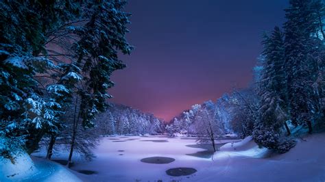 Fondos De Pantalla 3840x2160 Invierno Lago Bosques Nieve Noche