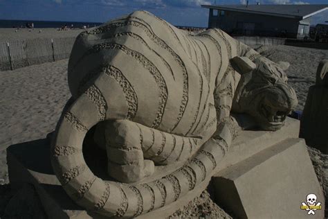 Tiger From Side Sand Sculpture By Carl Jara Carl Flickr