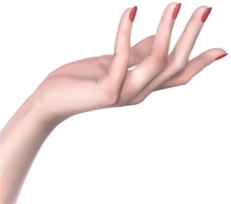 Hand Png Transparent Image Download Size 600x531px