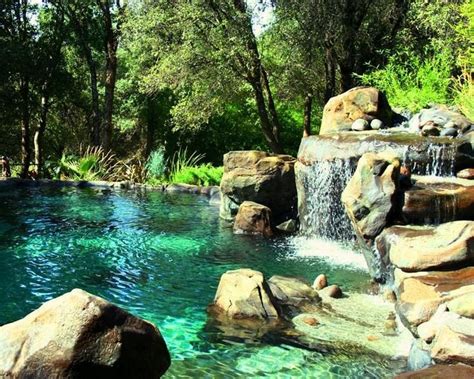 20 Natural Backyard Swimming Pool Design Ideas With Waterfall