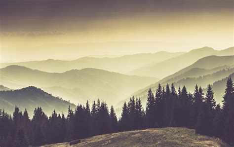 Landscape Of Misty Mountain In Forest Hills Stock Photo Download