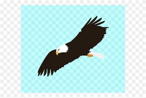 Soaring Eagle Clip Art Free Vector Spread Eagle Clipart Stunning