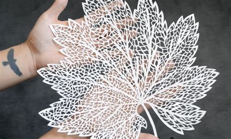 Hand Cutting An Intricate Paper Leaf Stencil The Kid