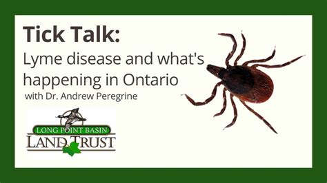 Tick Talk Lyme Disease And Whats Happening In Ontario Youtube