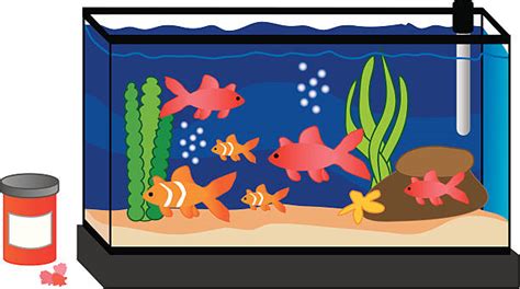 Fish In Tank Clipart 10 Free Cliparts Download Images On Clipground 2023