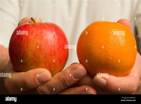 Comparing Apples And Oranges High Resolution Stock Photography And