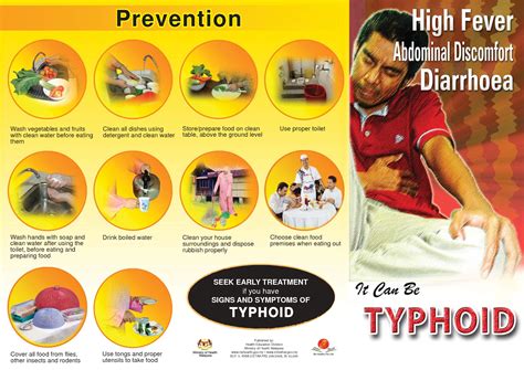 Typhoid fever, also known as typhoid, is a disease caused by salmonella serotype typhi bacteria. Tiada Kes Demam Kepialu Dilaporkan Dari Negeri Lain ...