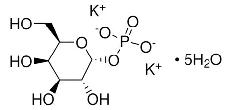 α D Galactose 1 Phosphate Dipotassium Salt Pentahydrate α D