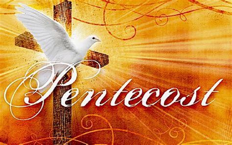 Unite with 200,000 christians, from israel to new york to sidney. Tanzania's Laity Council Members Reflect on "love" Ahead ...